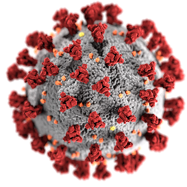 covid-19-coronavirus.jpg